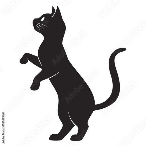 Black Cat Silhouette Standing on Hind Legs feline animal