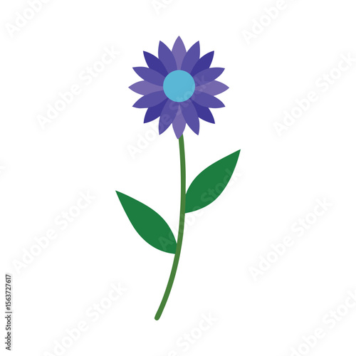Bright bachelors button flower with distinctive fringed petals ideal for wildflower art Vector illustration on white background