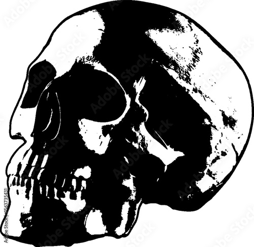 Calavera terrorífica. skull represents a scary horror scene with human skulls. Vector. Navidad. Halloween.