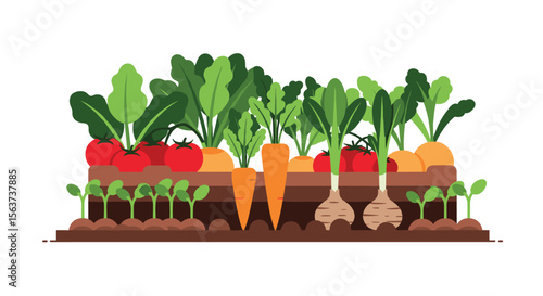 A bountiful harvest of fresh vegetables growing in a vibrant garden bed during the summer season