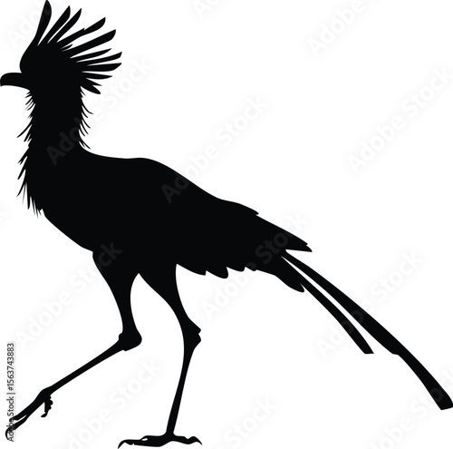 Elegant Secretary Bird Silhouette Birds Vector EPS Illustration -  High-Quality Vector Graphic of a Majestic Secretary Bird Silhouette in EPS Format, Perfect for Design Projects