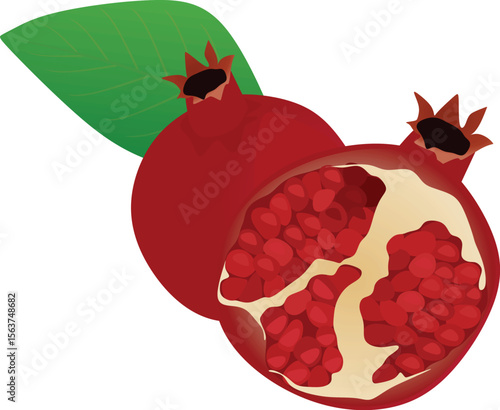 Pomegranate with leaves on white background. vector	