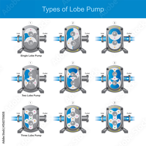 Illustrates the various types of lobe pumps based on the number of lobes, and demonstrates their working principles through a series of sequential diagrams for each type.