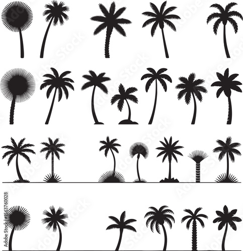 Palm tree silhouette vector collection featuring a variety of tropical shapes and styles for summer vacation beach nature and travel themed designs