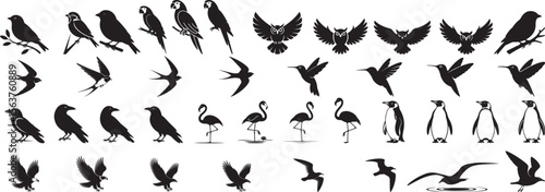 Diverse bird silhouettes flying perched and standing