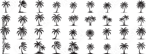 Black palm trees silhouettes tropical nature