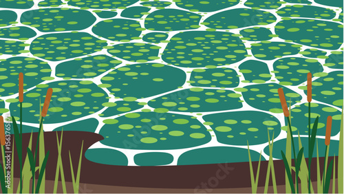 Vector illustration of a pond with reeds in a flat style.