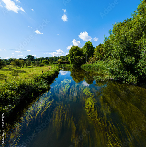 Aerial drone shot flying low down a Chalk River in Wiltshire, UK