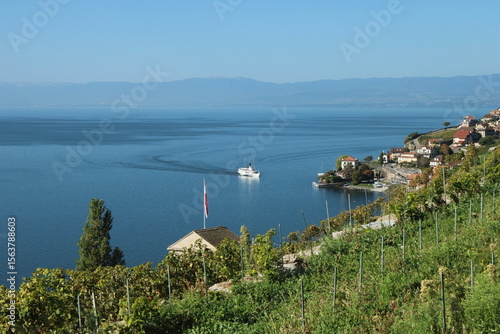 Tableau sur toile Vue depuis les Côteaux de Lavaux à Montreux en Suisse 
 sur un bateau et le lac