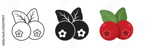 Cranberry fruit icon set collection in flat style. Lingonberry vector illustration on isolated background. Fresh berry sign business concept.