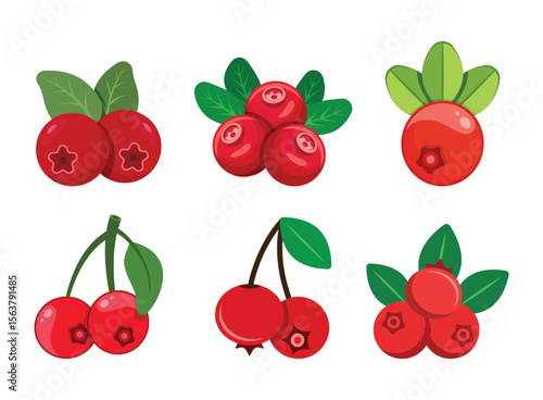 Cranberry fruit icon set collection in flat style. Lingonberry vector illustration on isolated background. Fresh berry sign business concept.