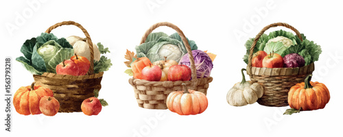 Watercolor set of baskets in harvest. Wicker baskets with cabbage, apple, pumpkin, pepper and others. Concept of harvest, farm and rural organic products. Vector illustration.