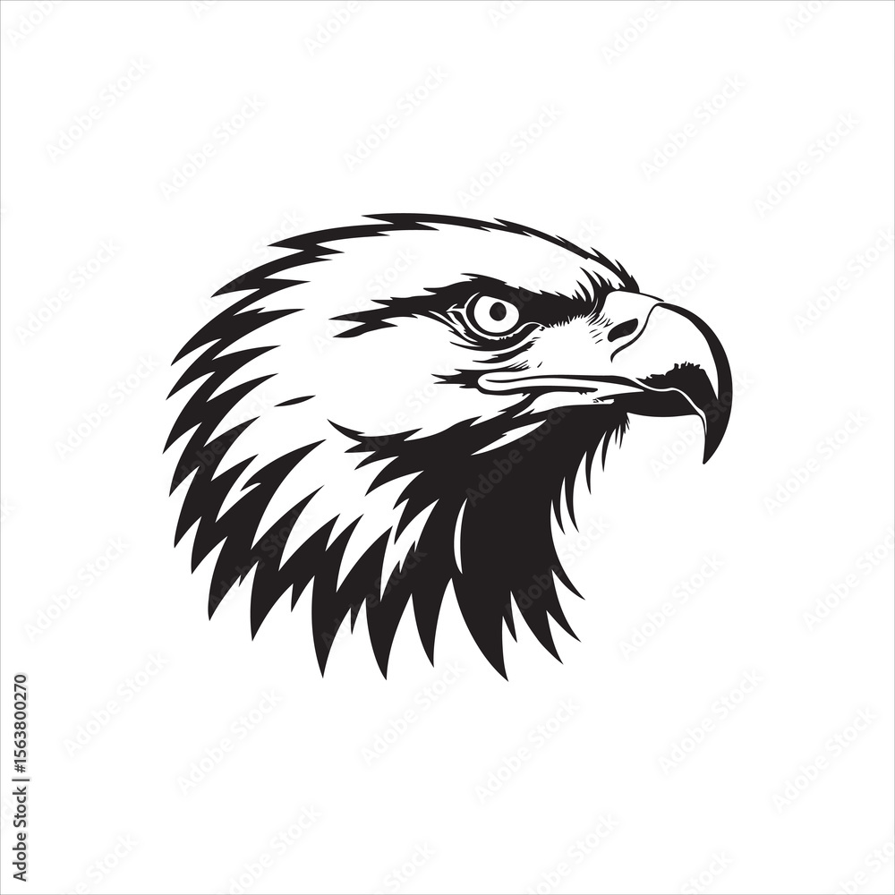 Obraz premium Eagle Head Vector – Fierce Black and White Bird Illustration