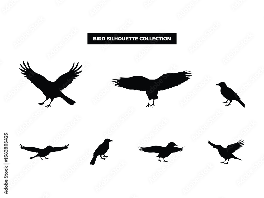 Fototapeta premium Vector Bird Silhouette Collection, Flying, Perching, and Soaring Birds for Graphic Design