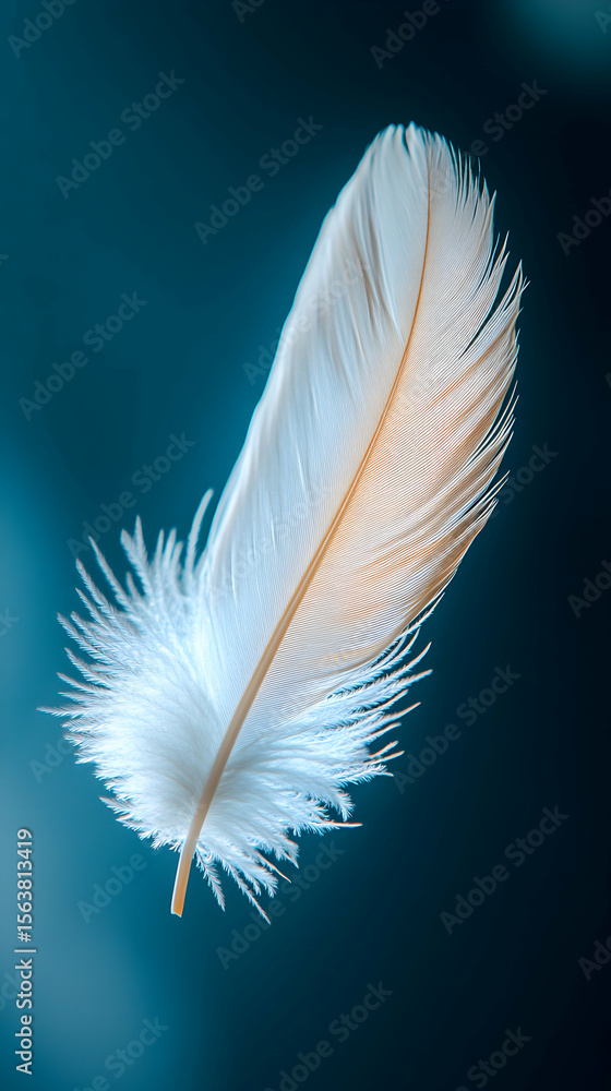 Obraz premium Delicate single white feather floats against a deep teal background; a serene image perfect for representing peace, lightness, or spirituality.