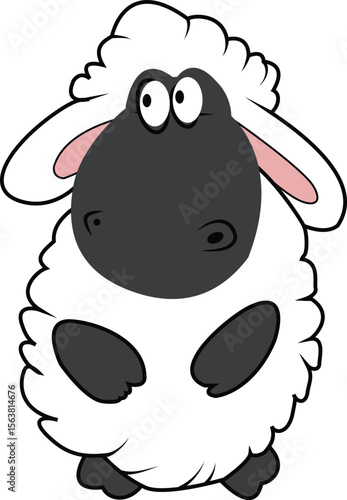 black and white sheep
