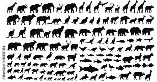 Collection of animal silhouettes, diverse wildlife species in rows, black figures on white background, representing biodiversity, nature, habitat, zoology, and animal kingdom variety