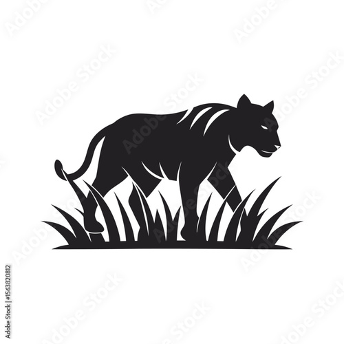 Tiger Stalking Prey In Tall Grass Silhouette