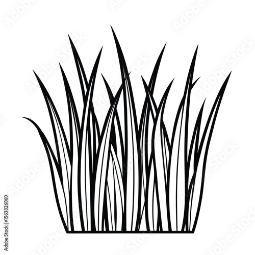 natural green grass line art illustration