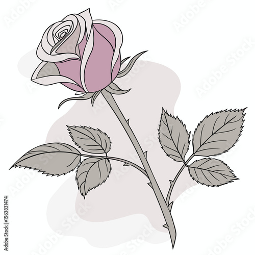 Hand-drawn rose vector illustration featuring a vintage floral design with leaves and blossoms, perfect for spring decoration or an artful summer pattern