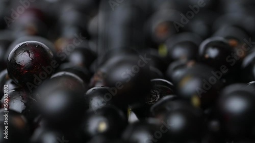 video of blackcurrant berries