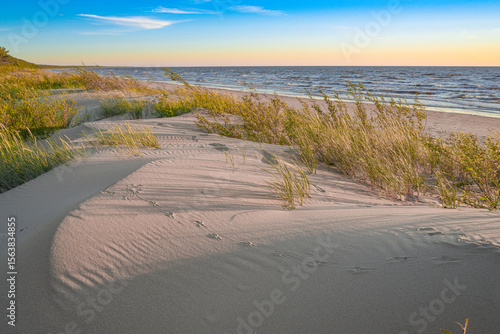 Fototapeta Naklejka Na Ścianę i Meble -  dunes on the baltic sea coast