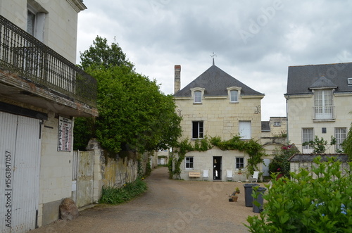 Candes Saint Martin  (Indre et Loire - Pays de la Loire - France)