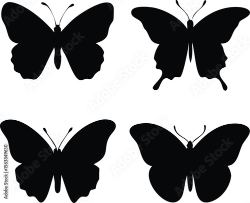 four types of admiral butterfly line arts