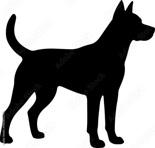 Black dog silhouette standing alert animal canine
