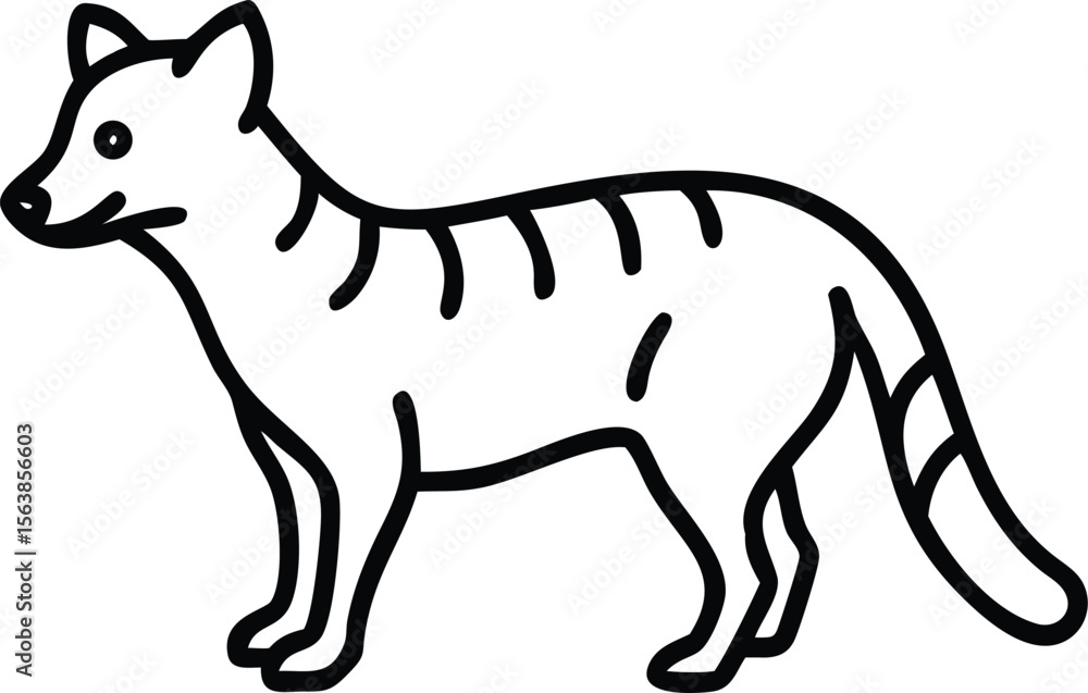 Obraz premium african civet line arts with white background