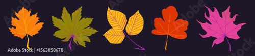 Set of five decorative autumn leaves with texture on dark background. Includes maple, chestnut, poplar, grapevine and sycamore. Flat vector fall foliage for seasonal design