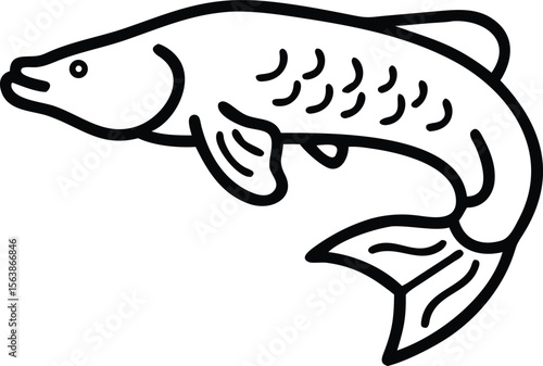   arapaima  line arts with white background