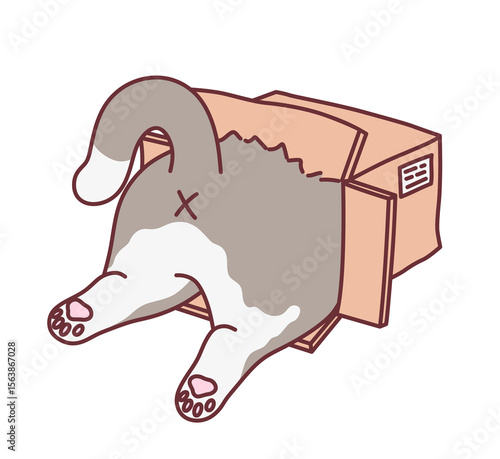Cute cat climbing inside the box vector illustration. Cute cats series.