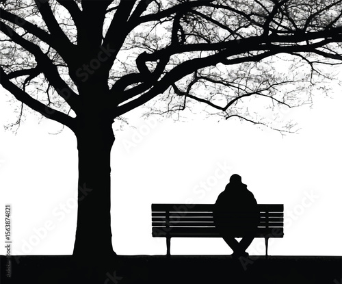 A Serene and Contemplative Scene of a Solitary Person Sitting on a Park Bench Under a Bare Tree on a Foggy Day