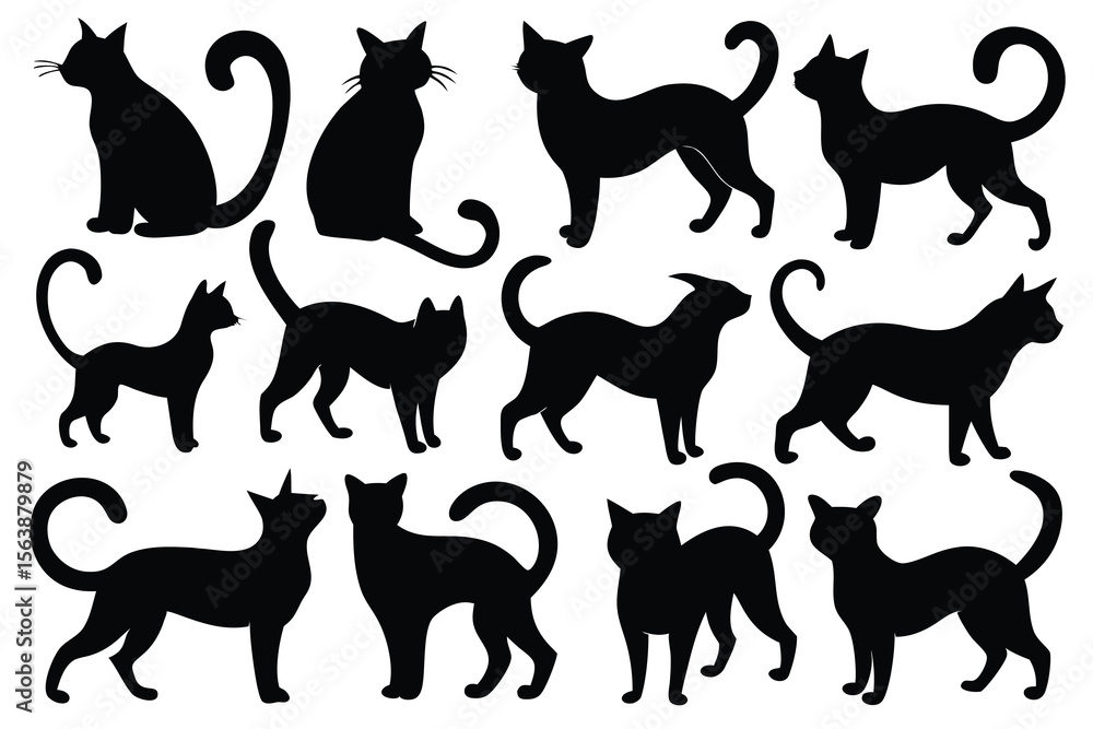 Obraz premium Collection of black cat silhouettes various poses