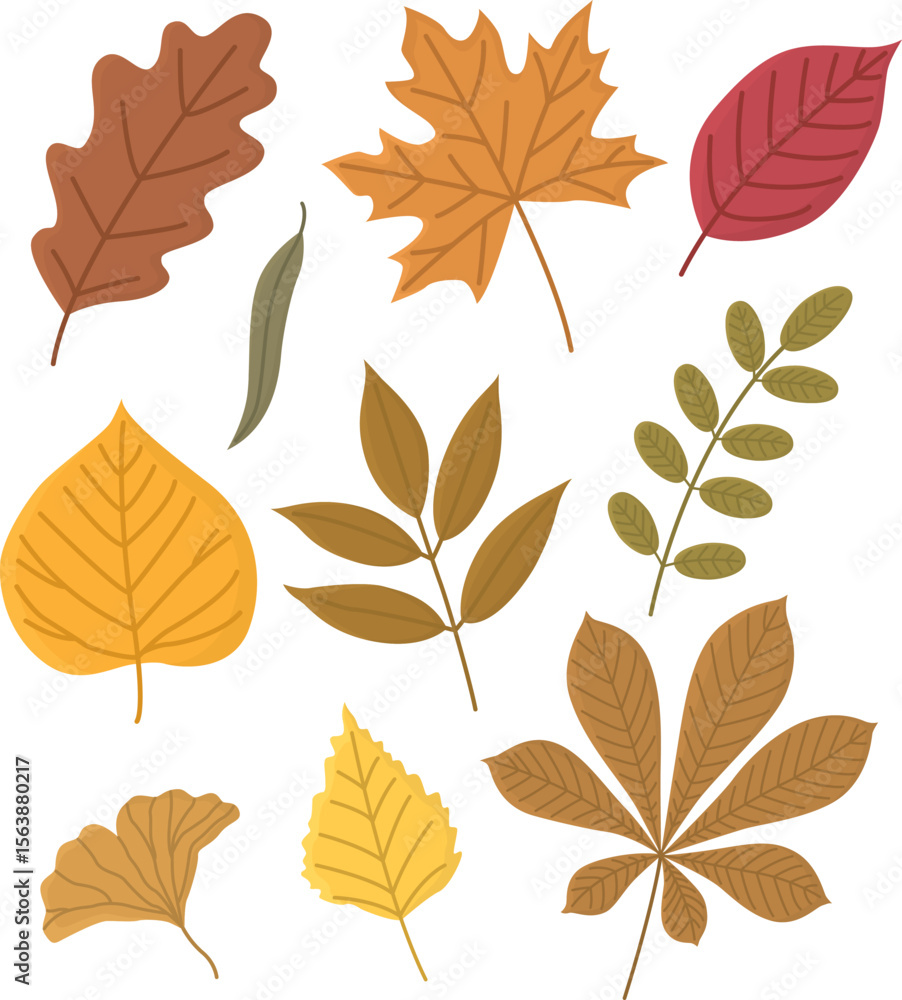 Fototapeta premium Set of colorful autumn leaves. Hand drawn bright illustration isolated on white.