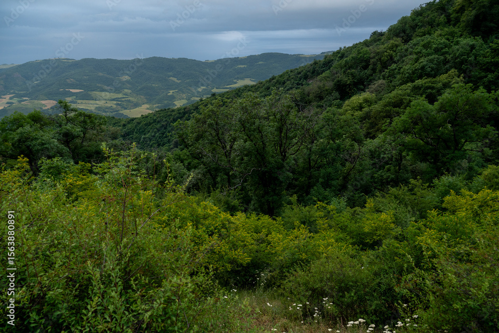 Obraz premium Forested hills and valley under clouds