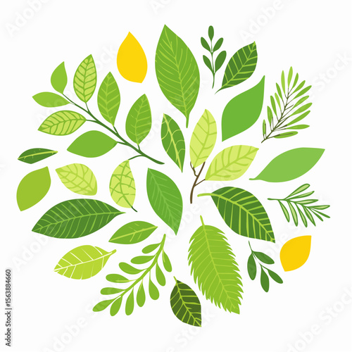 A Collection of Green Leaves: An eye-level, charming, and artful collection of leaves forming a round shapes, celebrating the vibrant spirit of nature in a creative way.