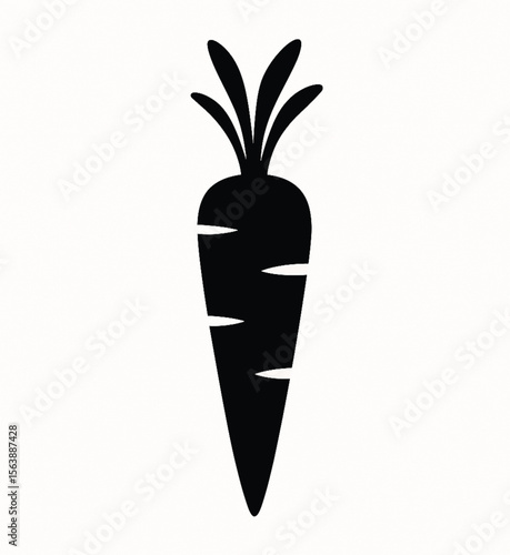 vector illustration of a fresh carrot