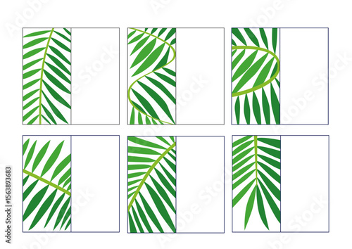 coconut leaves design creative on white background