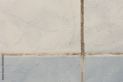 Black mold on ceramic tile seam