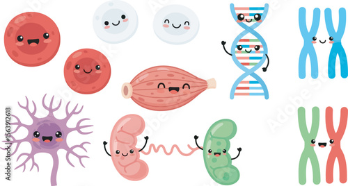 Cartoon illustrations of various cells and biological structures with smiling faces.
