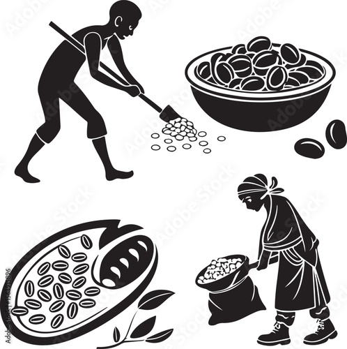 Silhouetted illustrations of coffee bean harvesting and processing stages black and white vector