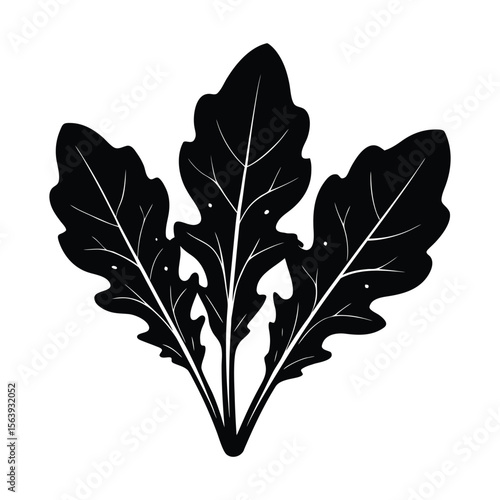 Fresh Rucola Leaves Illustration Black Silhouette