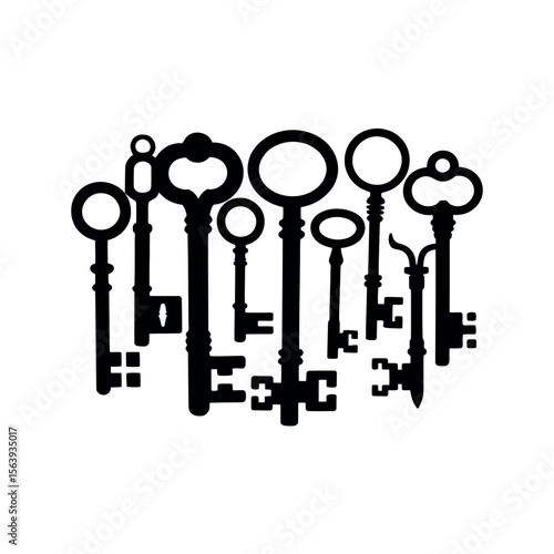 Key Silhouette on white background