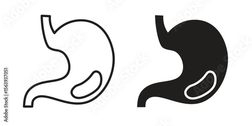 Stomach with Liquids icon solid style. Flat vector illustration.