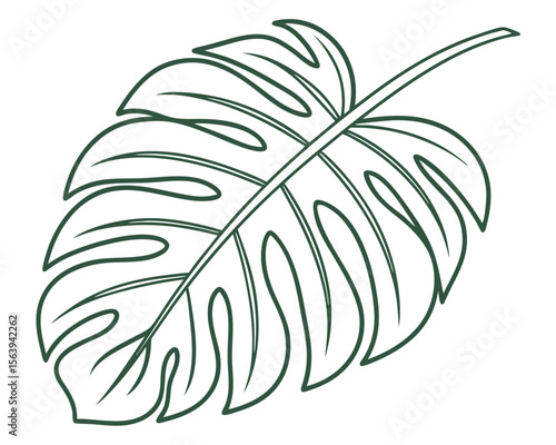 Elegant illustration of a monstera deliciosa leaf outline in a clean and minimalist design.