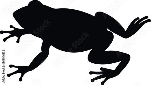 Frog silhouette vector illustration on white background