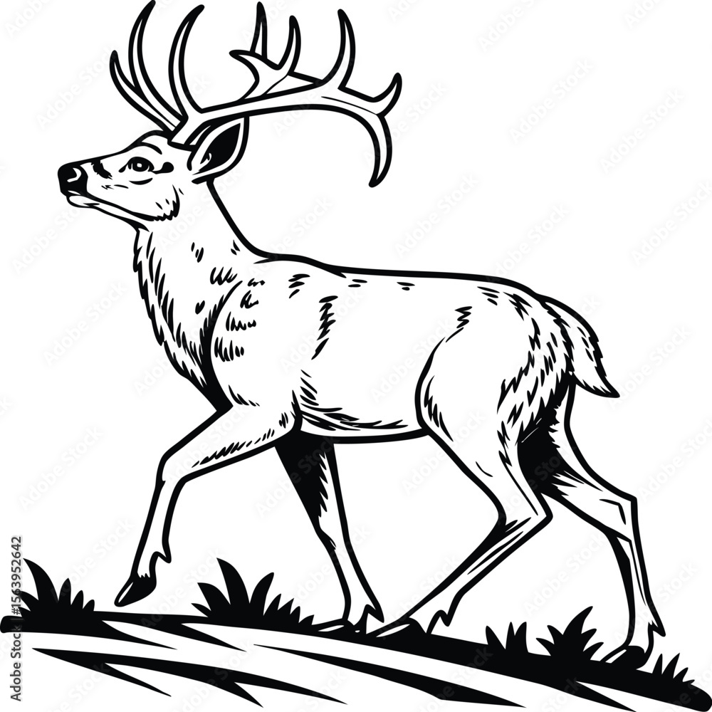 Fototapeta premium Majestic black and white deer silhouette with impressive antlers gazing into distance 