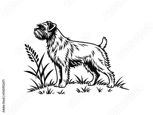 Brussels Griffon dog silhouette vector illustration, pet clipart, black and white animal shape, perfect for t-shirt, logo, stickers, or wall art